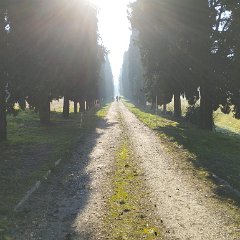 WhatsApp Image 2026-01-08 at 17.02.50